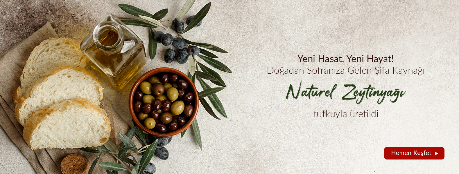 zeytin-cesitleri.png